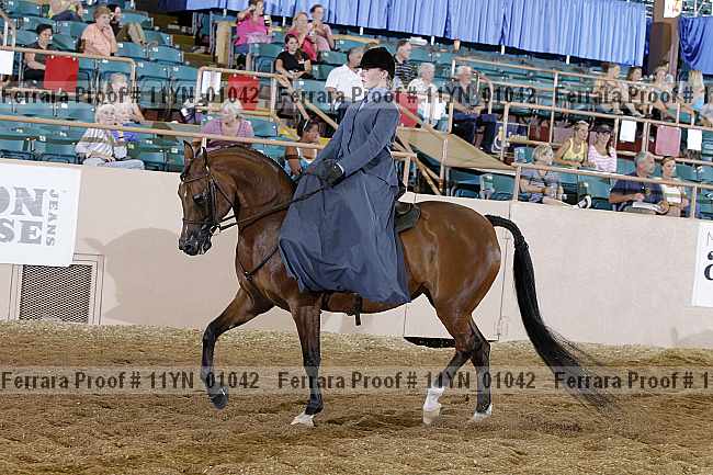 Proof 11yn_01042