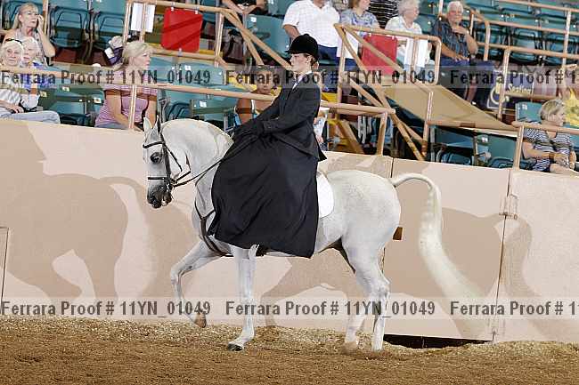 Proof 11yn_01049