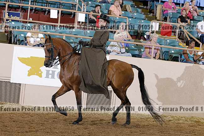 Proof 11yn_01050