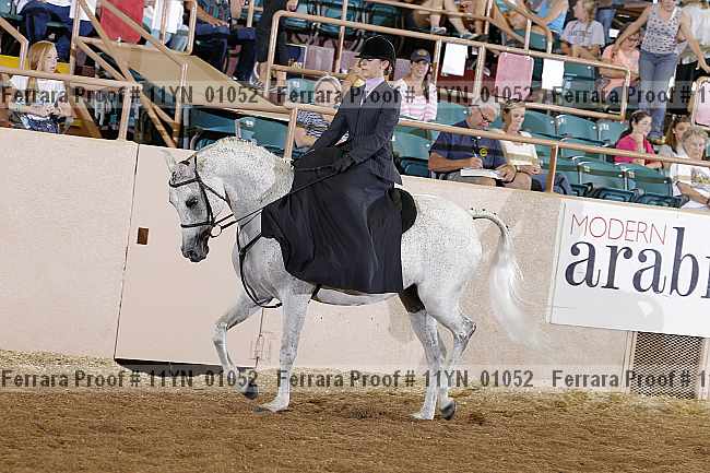 Proof 11yn_01052