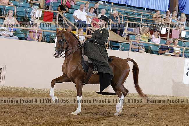 Proof 11yn_01056