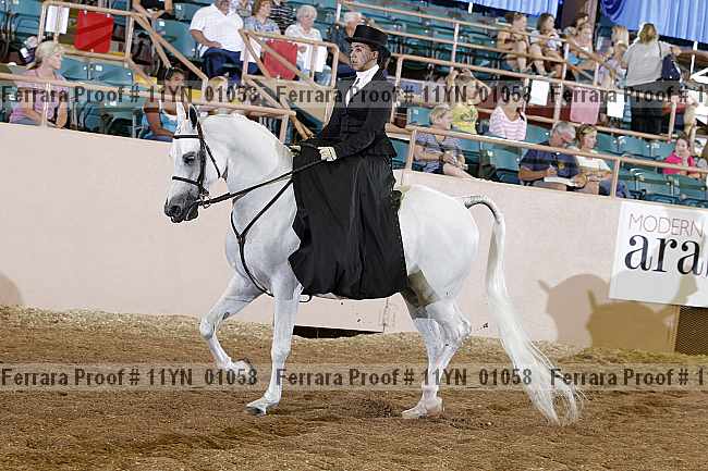 Proof 11yn_01058