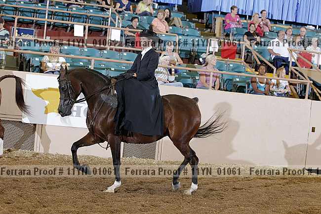 Proof 11yn_01061