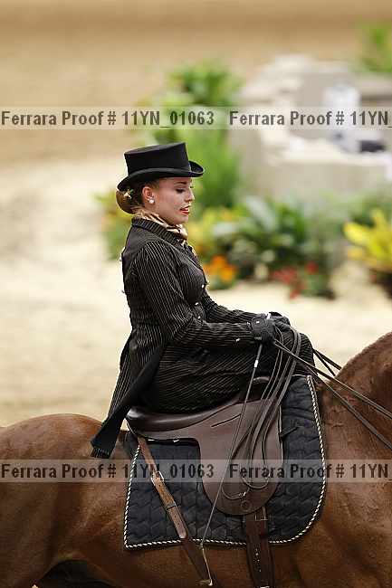 Proof 11yn_01063