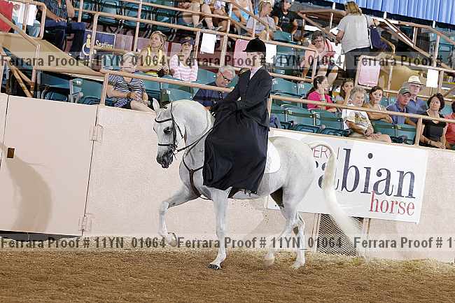Proof 11yn_01064