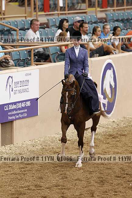 Proof 11yn_01066
