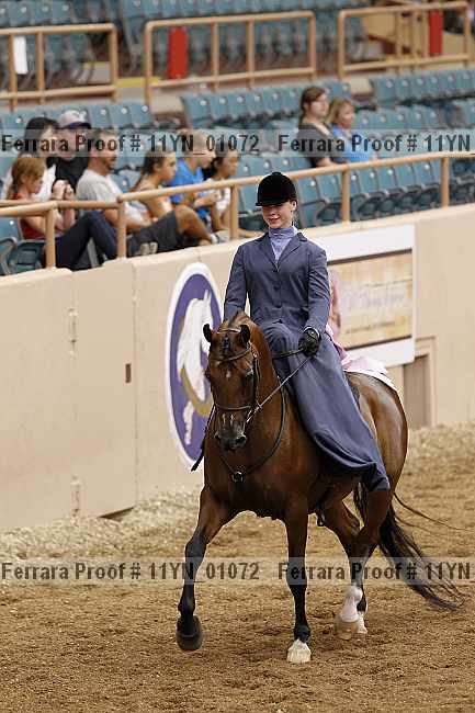 Proof 11yn_01072