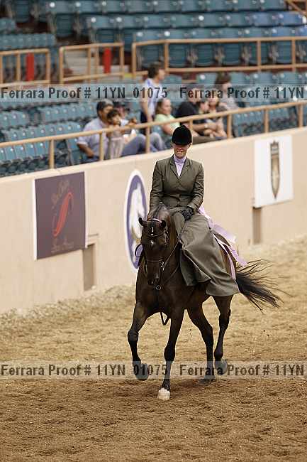 Proof 11yn_01075