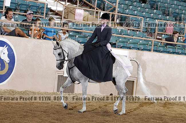 Proof 11yn_01079