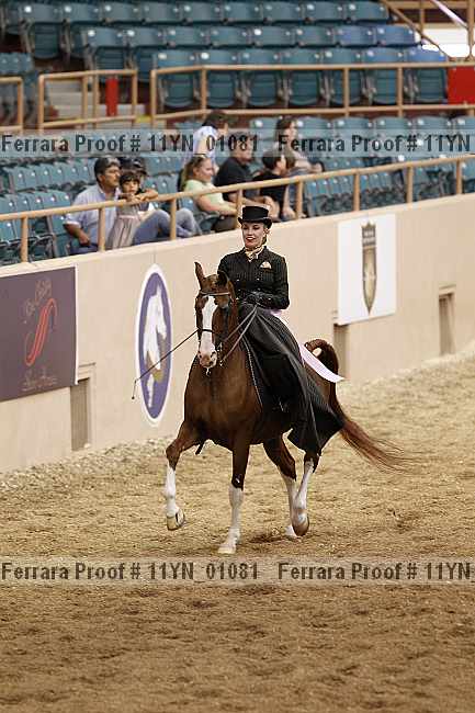 Proof 11yn_01081