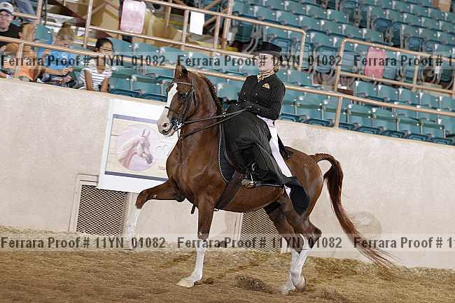 Proof 11yn_01082