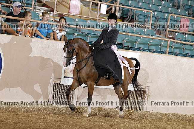 Proof 11yn_01085