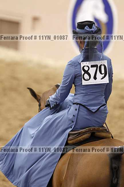 Proof 11yn_01087