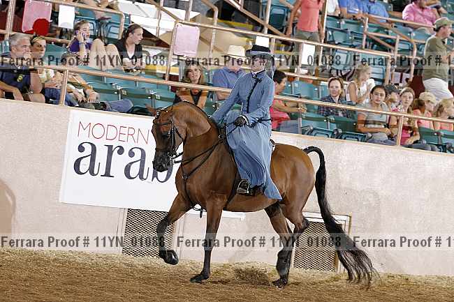 Proof 11yn_01088