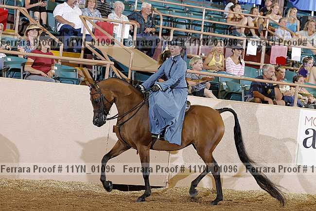 Proof 11yn_01096