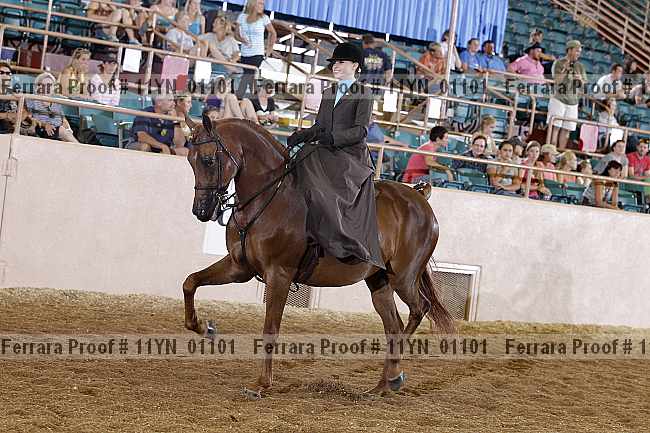 Proof 11yn_01101