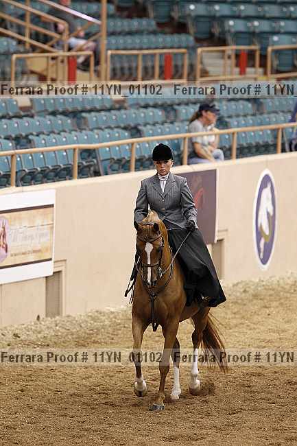 Proof 11yn_01102