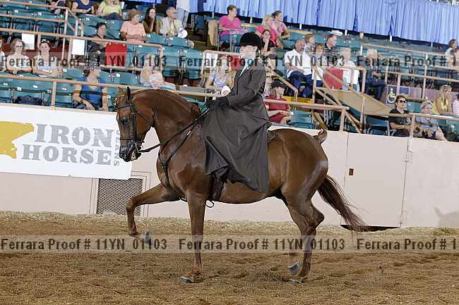 Proof 11yn_01103