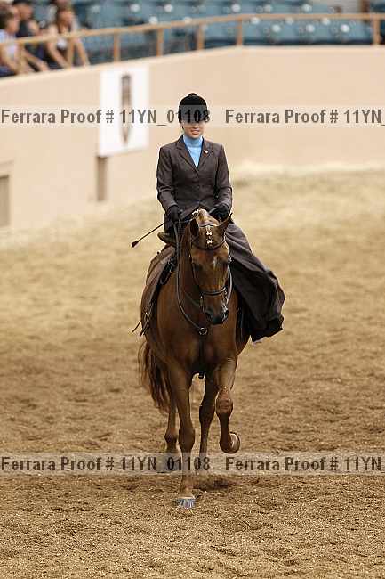 Proof 11yn_01108