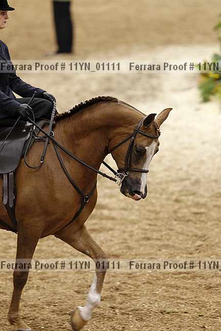 Proof 11yn_01111
