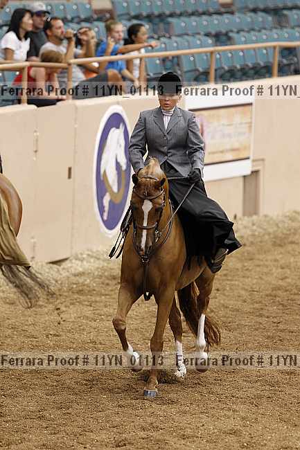 Proof 11yn_01113