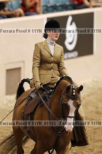 Proof 11yn_01115