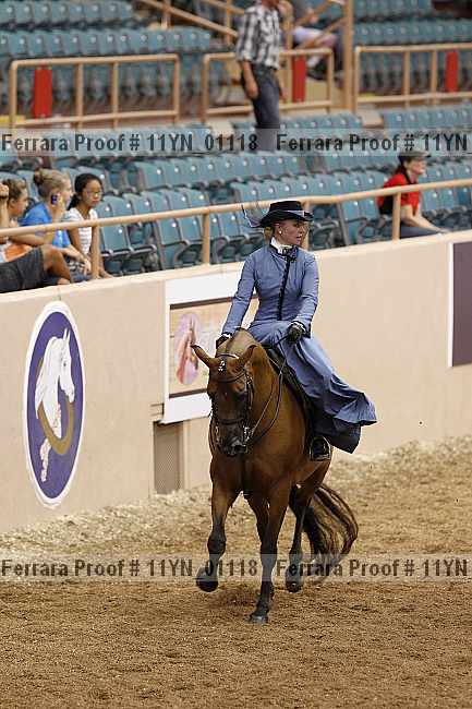 Proof 11yn_01118