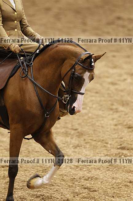 Proof 11yn_01128