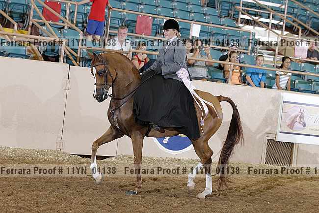 Proof 11yn_01138