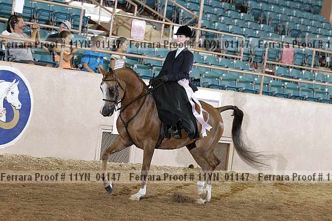 Proof 11yn_01147