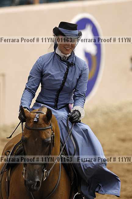 Proof 11yn_01163