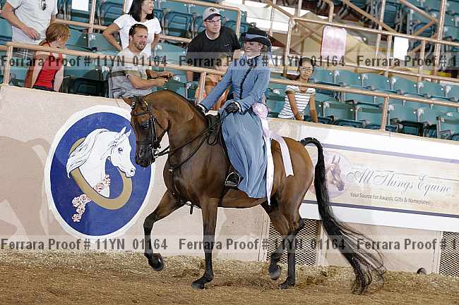 Proof 11yn_01164