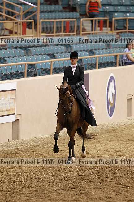 Proof 11yn_01166