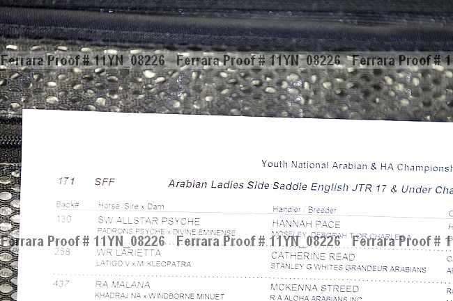 Proof 11yn_08226
