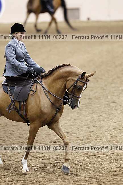 Proof 11yn_08237