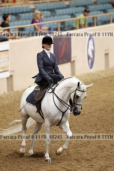 Proof 11yn_08245