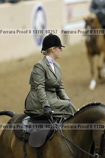 Proof 11yn_08257