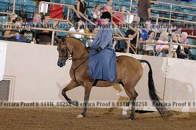 Proof 11yn_08258