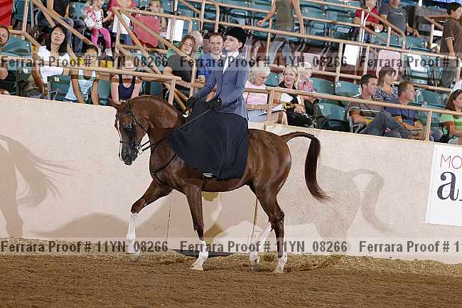 Proof 11yn_08266