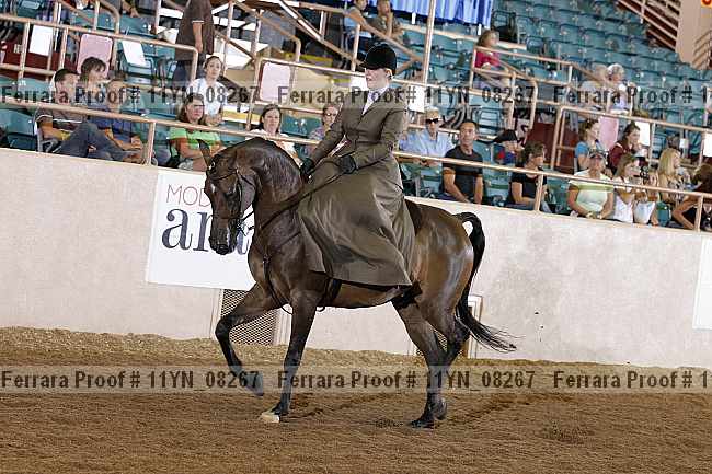 Proof 11yn_08267