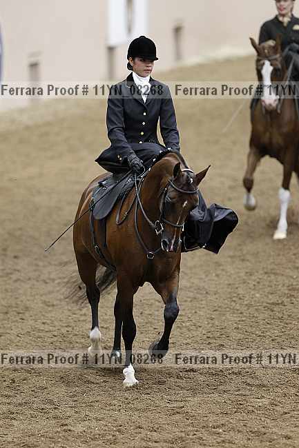 Proof 11yn_08268
