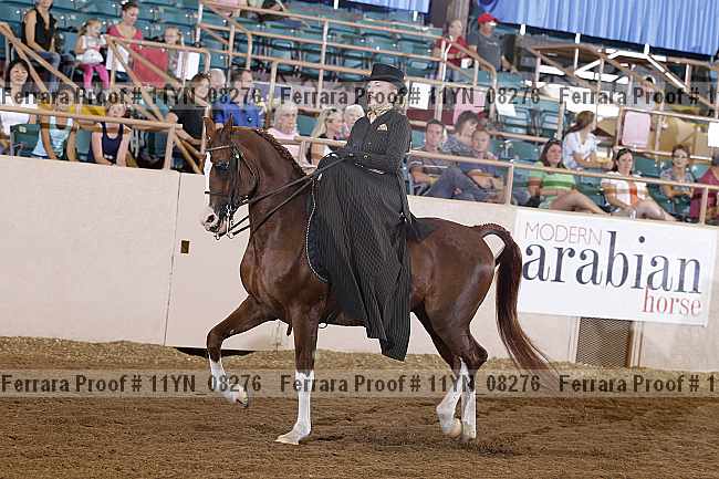 Proof 11yn_08276