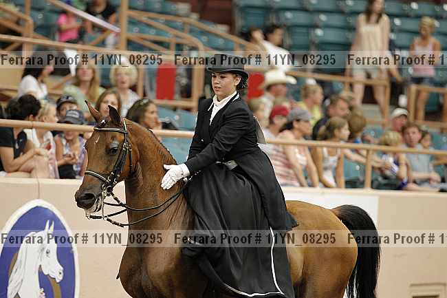 Proof 11yn_08295