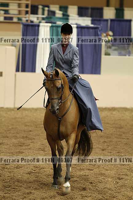 Proof 11yn_08307
