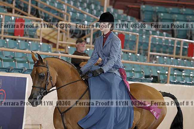 Proof 11yn_08308