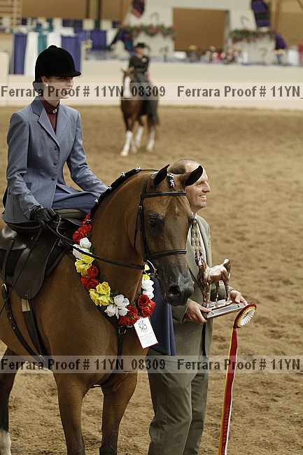 Proof 11yn_08309