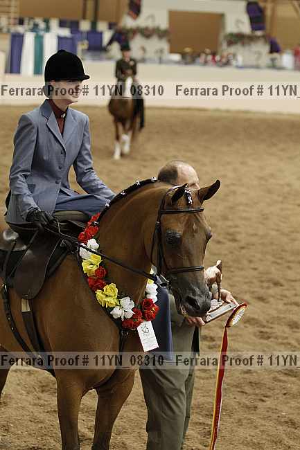 Proof 11yn_08310