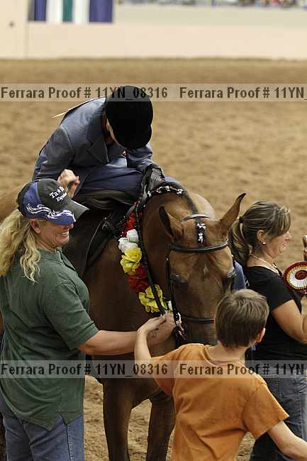 Proof 11yn_08316