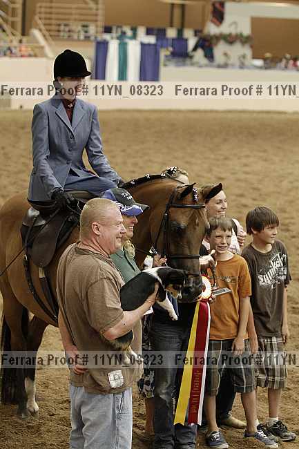 Proof 11yn_08323
