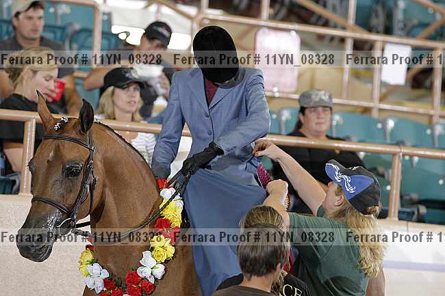 Proof 11yn_08328